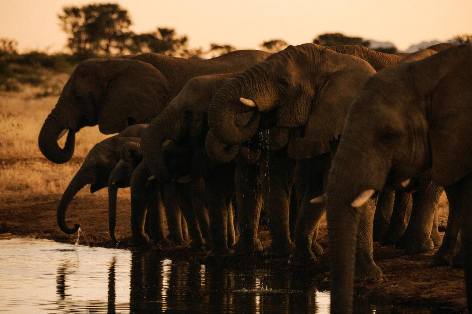 ホテル Our Habitas Namibia ウィントフーク エクステリア 写真