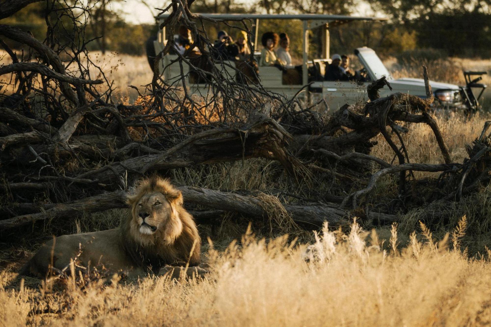 ホテル Our Habitas Namibia ウィントフーク エクステリア 写真